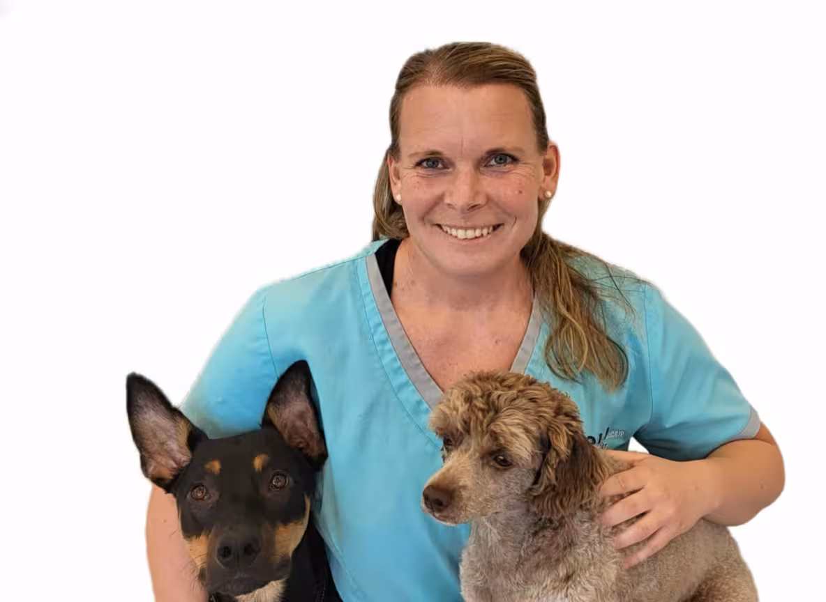 Christine Ringstad